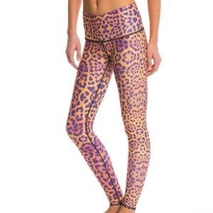 Teeki Purple Awakening Hot Pant